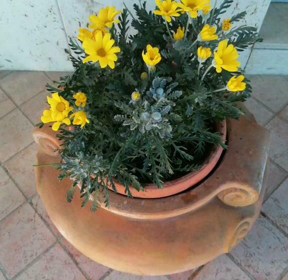 Pension Affittacamere Roberta