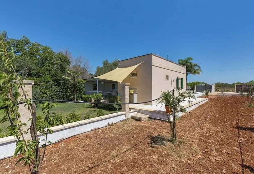 La Cornula By Barbarhouse