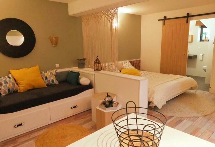 Gîte Les érables Studio   Janode