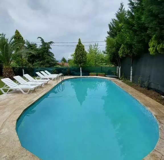 Sapanca Da 3 Oda 1 Salon Müstakil Havuzlu Ve Jakuzili Villa