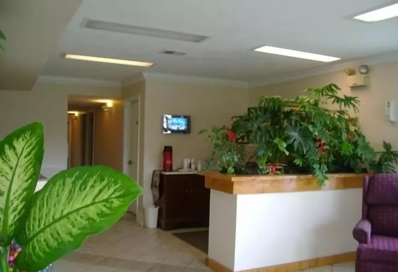 בית מלון כפרי Emerald Sands Inn