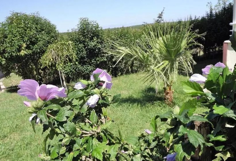 호텔 Hamsilos Apart