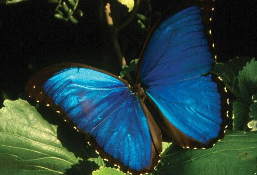 هتل Inkaterra Reserva Amazonica