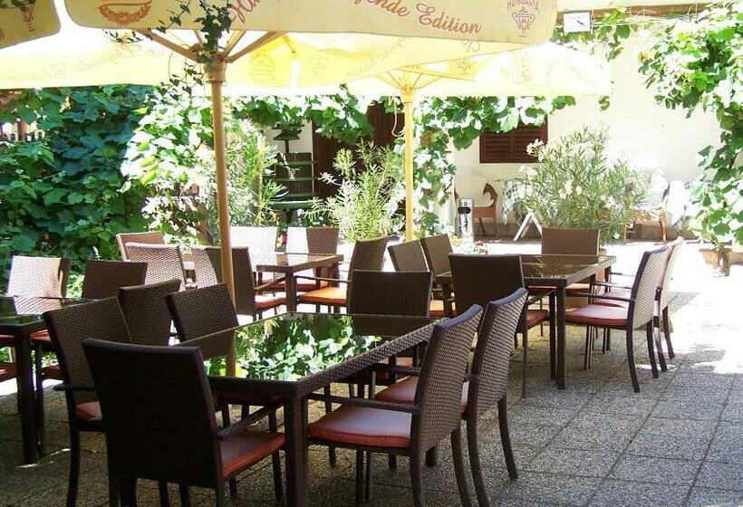 فندق Polgár Panzió