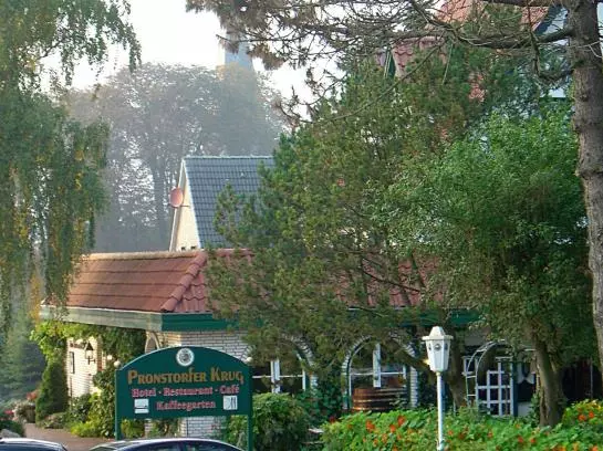 酒店 Pronstorfer Krug