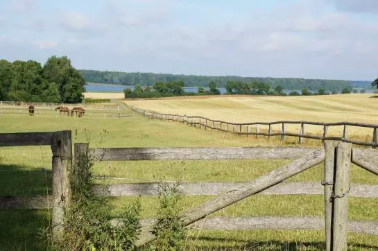 酒店 Pronstorfer Krug