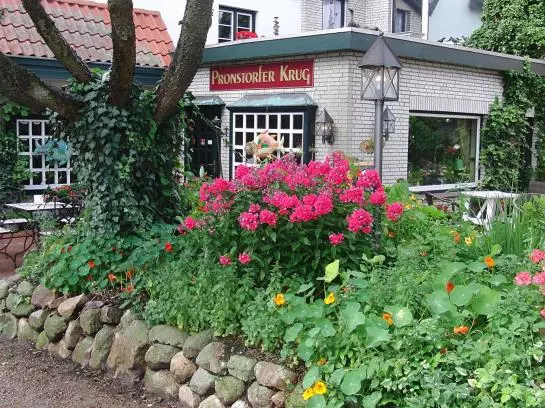 酒店 Pronstorfer Krug