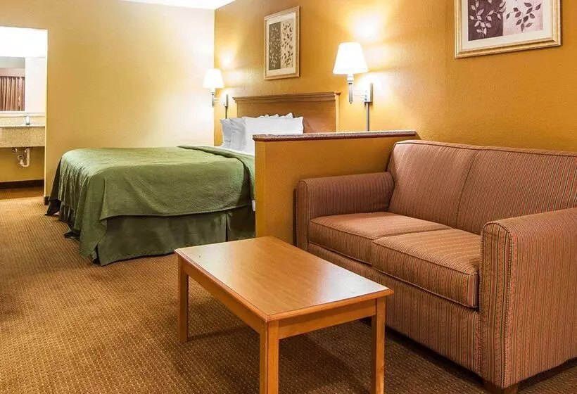 Отель Quality Inn & Suites