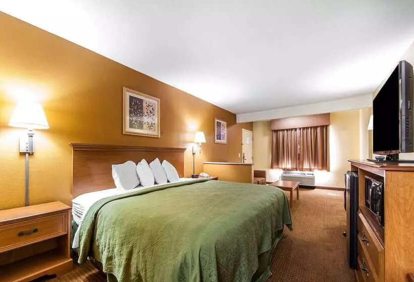 Отель Quality Inn & Suites
