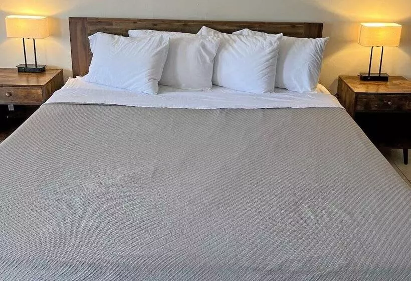 Отель Red Carpet Inn   Houma