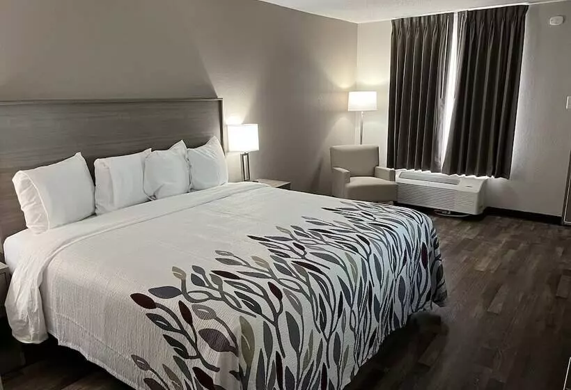 酒店 Red Roof Inn & Suites Wilkesboro