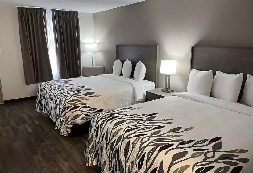 酒店 Red Roof Inn & Suites Wilkesboro