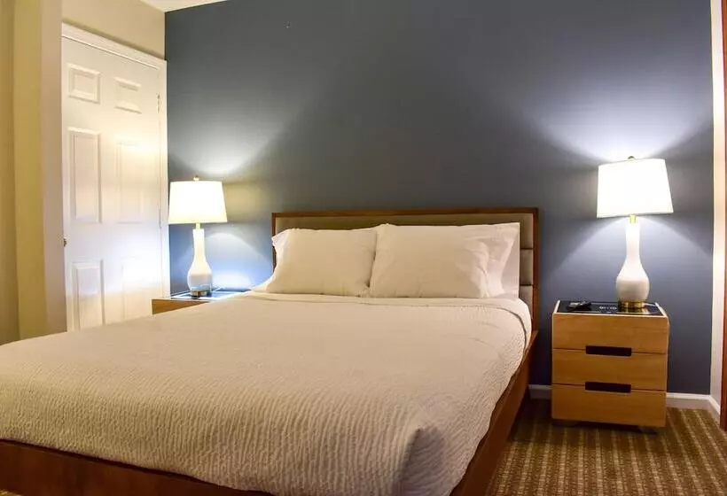 酒店 The Central Downtown Inn Suites