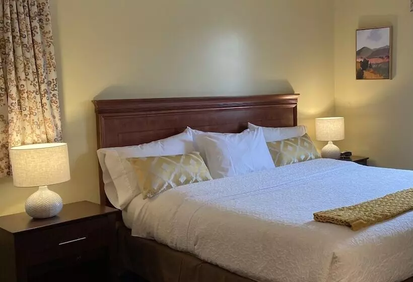 酒店 The Central Downtown Inn Suites