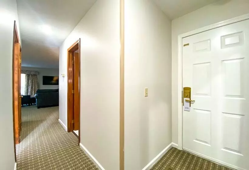 酒店 The Central Downtown Inn Suites