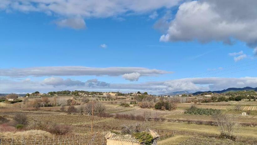 Les Oliviers Du Coquillon