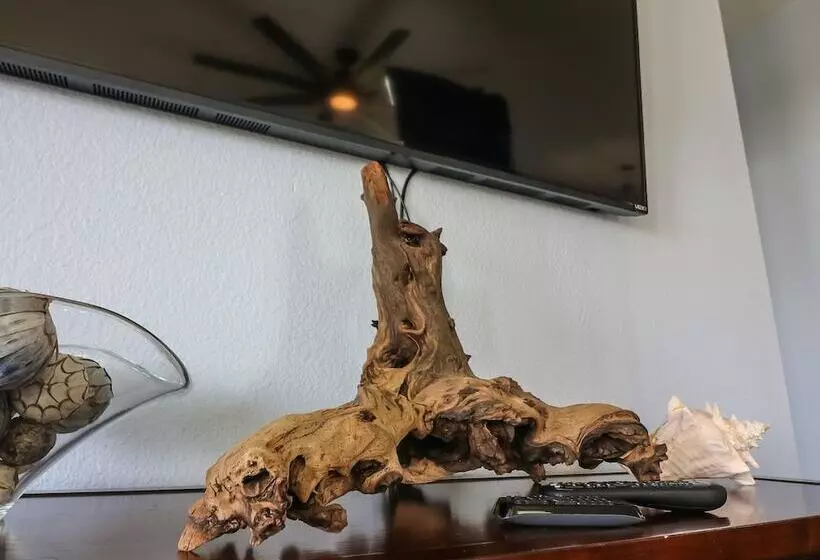 Stunning Sunsets Steps From Pool Lazy River Ocean Bay Views