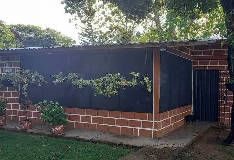 Granja De Búfalos Paz Y Armonía Vida De Campo