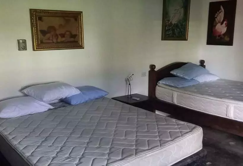Granja De Búfalos Paz Y Armonía Vida De Campo