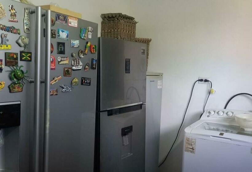 Granja De Búfalos Paz Y Armonía Vida De Campo