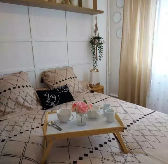 Au Nid D Or : Appartement Tout Confort Hyper Centre Béthune