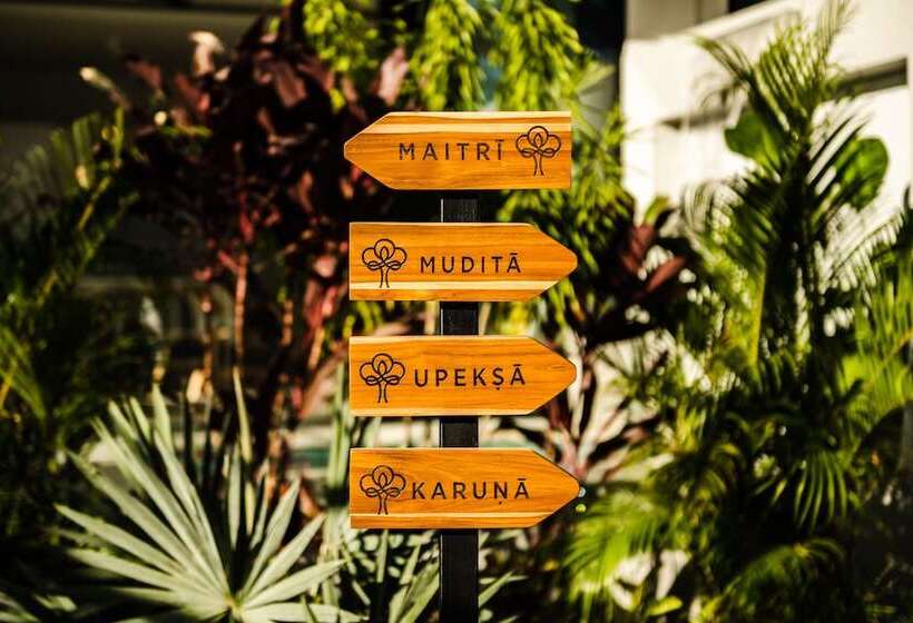 The Mvillas With Exclusive Beach Club Access