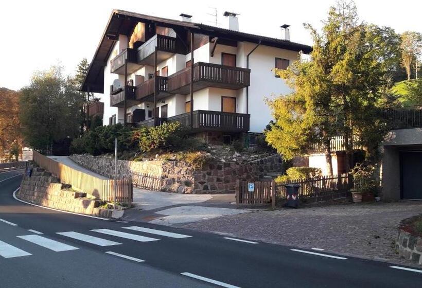 Apartment Bellevue Seis