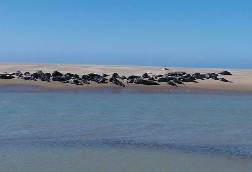 Le Gîte De La Salicorne