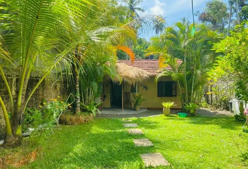 Mango Place