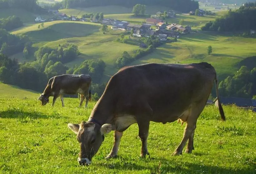 Berghof Vöglerbrand