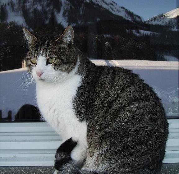 Berghof Vöglerbrand