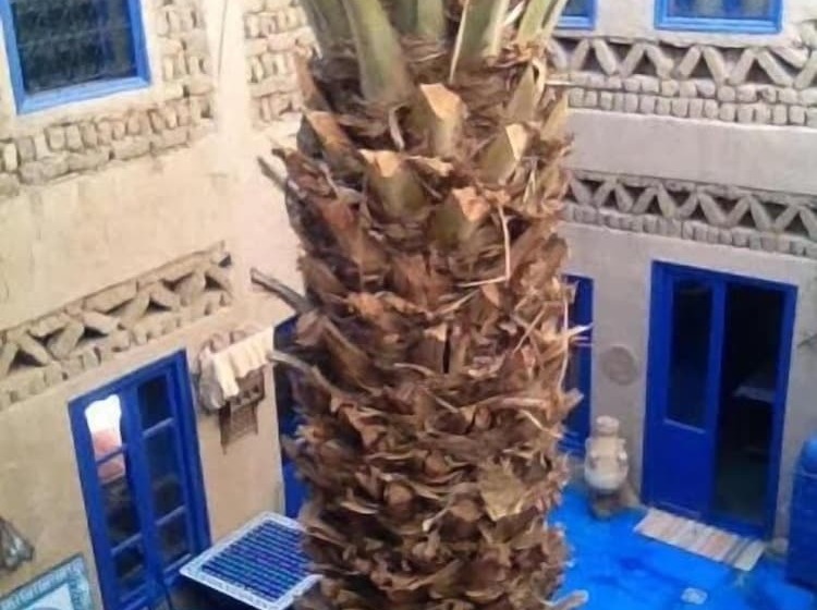 فندق Chez Youssef