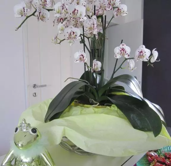 Отель Das Mittelpunkt