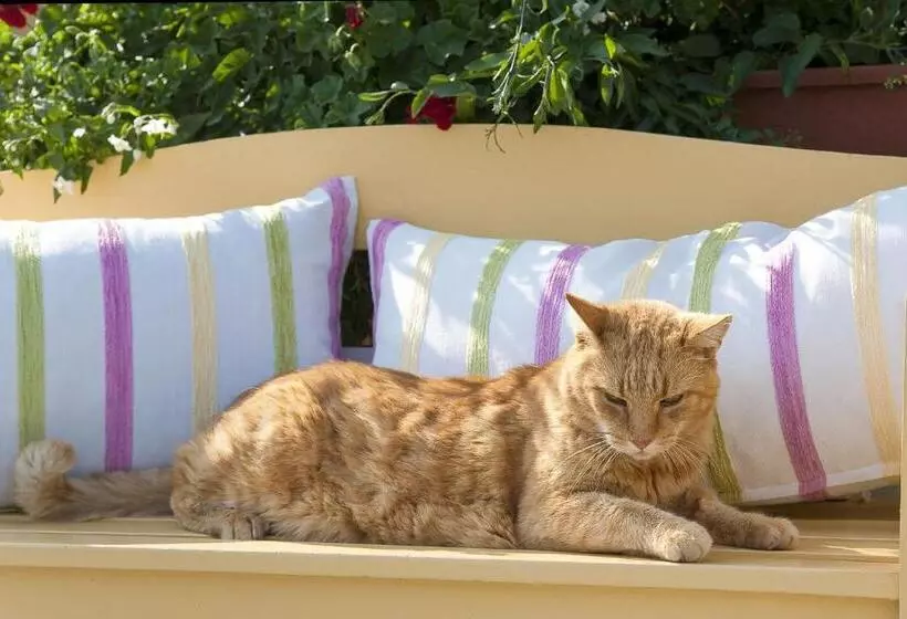 Отель Das Mittelpunkt