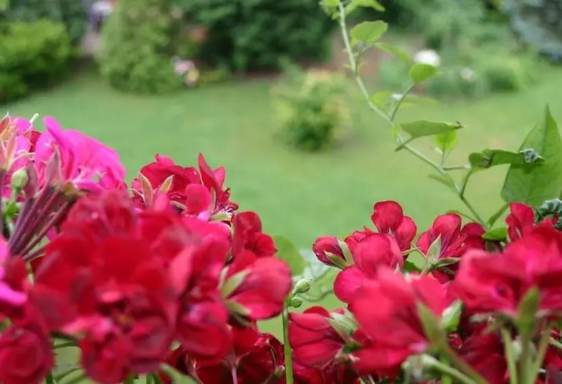 Отель Das Mittelpunkt