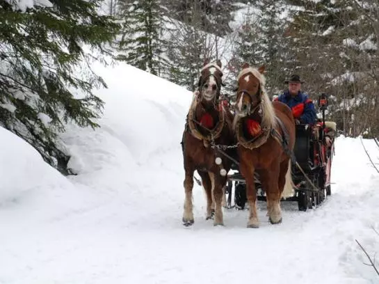 ペンション Gasthof Zimba