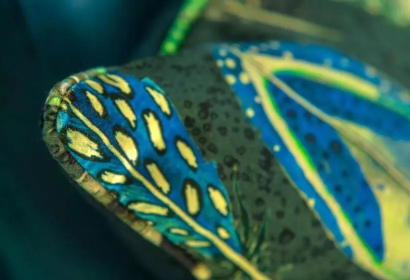 호텔 Hawthorne House