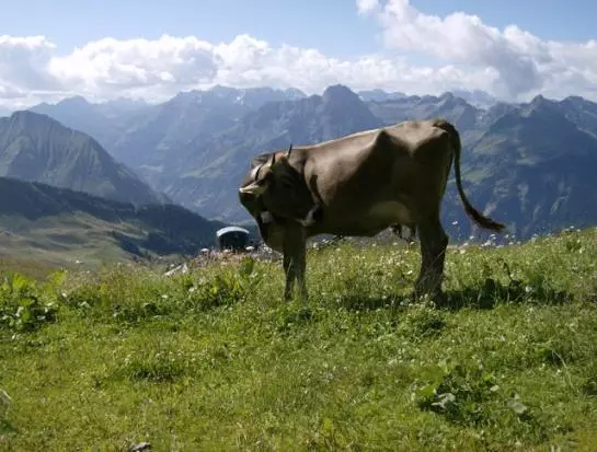 Отель Knusperhuette