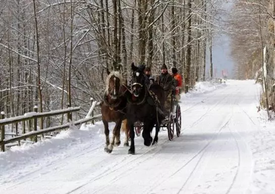 Отель Knusperhuette