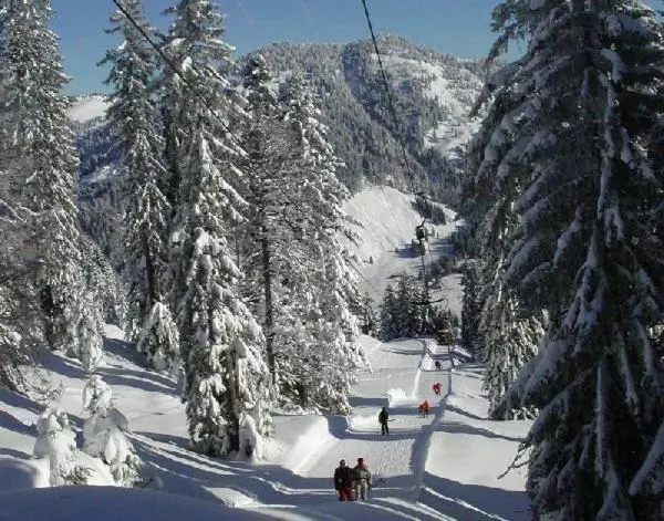 펜션 Gasthof Ochsen