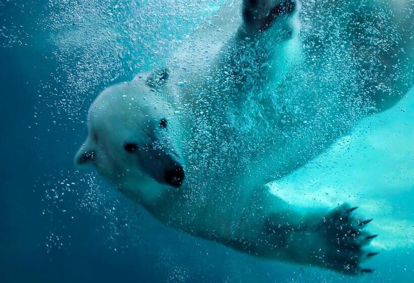 Van Der Valk Hotel Emmen