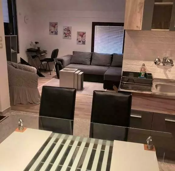 Apartman Djokic 1