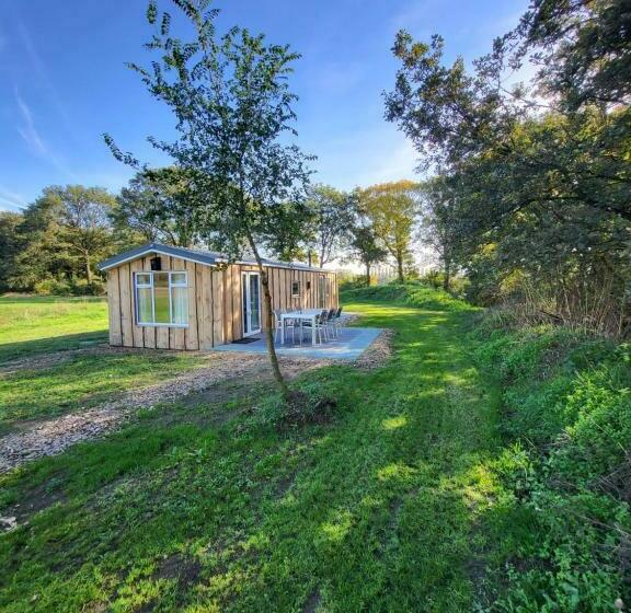 Hoeve Twente   De Buizerd