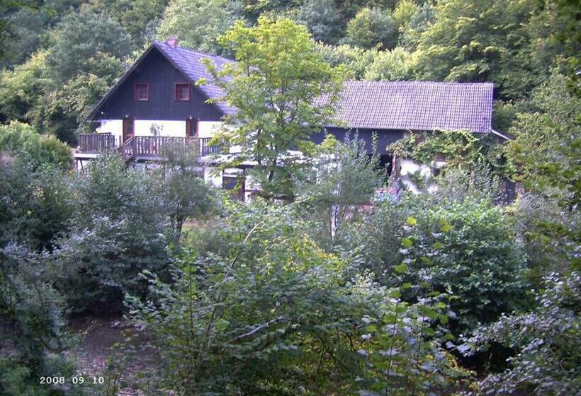 Neumühle Ferienwohnung 2