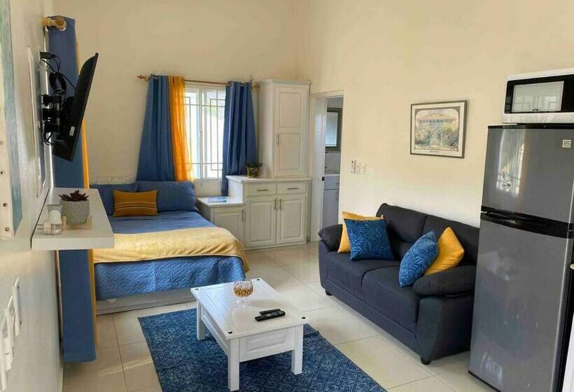 Cozy Studio Apartment In Quiet Neighborhood!