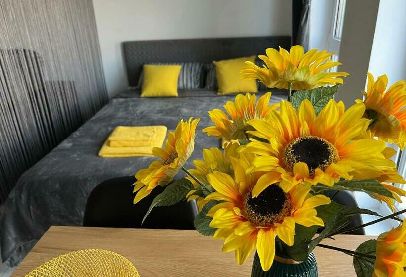 Yellow Studios Constanta