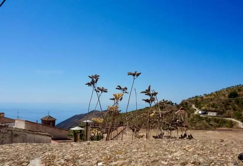 Casa Amigos Sorvilan   La Almendra