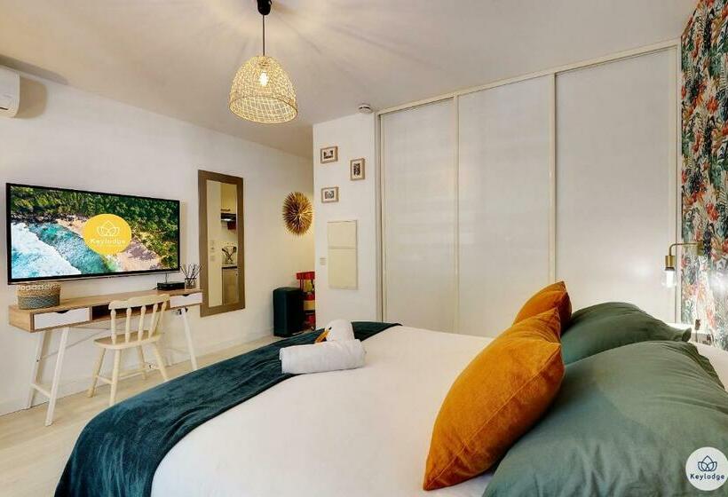 Studio Classé 2 étoiles   L Eden   Saint Denis