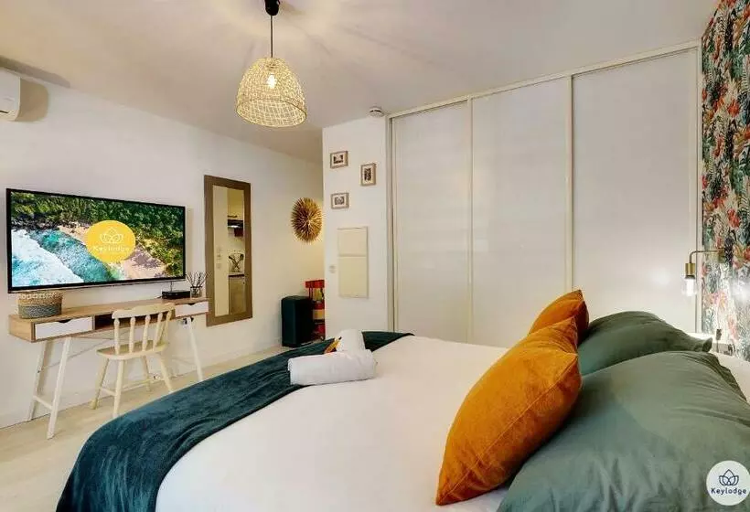 Studio Classé 2 étoiles   L Eden   Saint Denis