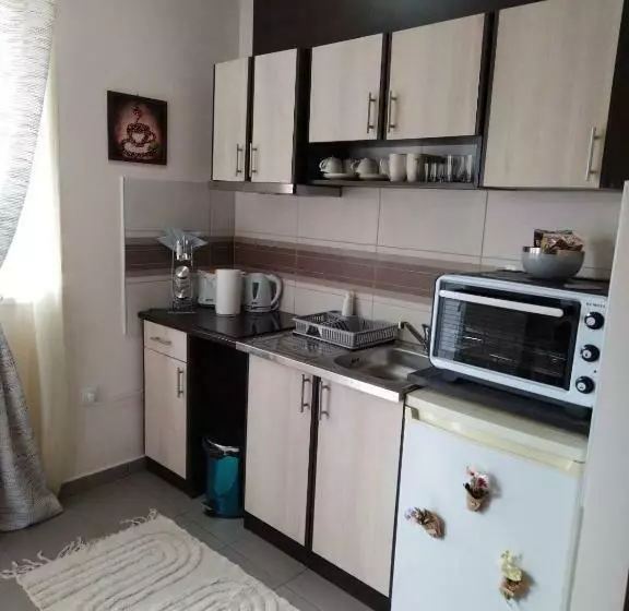 Apartman Studio Tea Su